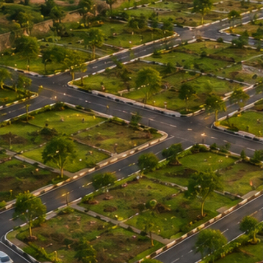 Forest Edge